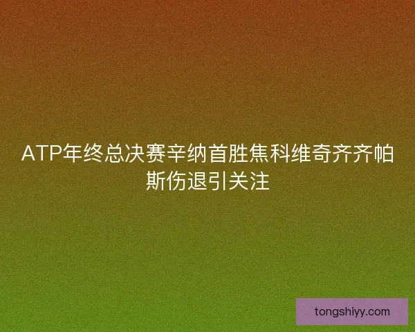 ATP年终总决赛辛纳首胜焦科维奇齐齐帕斯伤退引关注