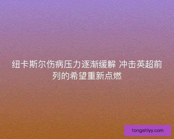 纽卡斯尔伤病压力逐渐缓解 冲击英超前列的希望重新点燃
